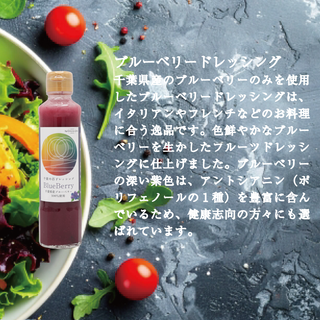 千葉の百ドレッシングGIFTセット（化粧箱入り）