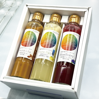 千葉の百ドレッシングGIFTセット（化粧箱入り）